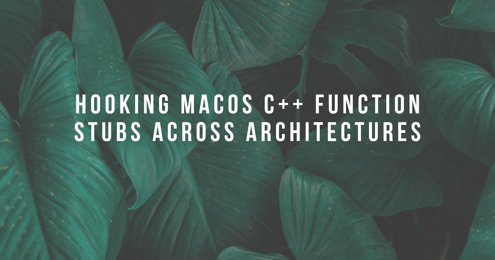 Hooking MacOS C++ Function Stubs Across Architectures