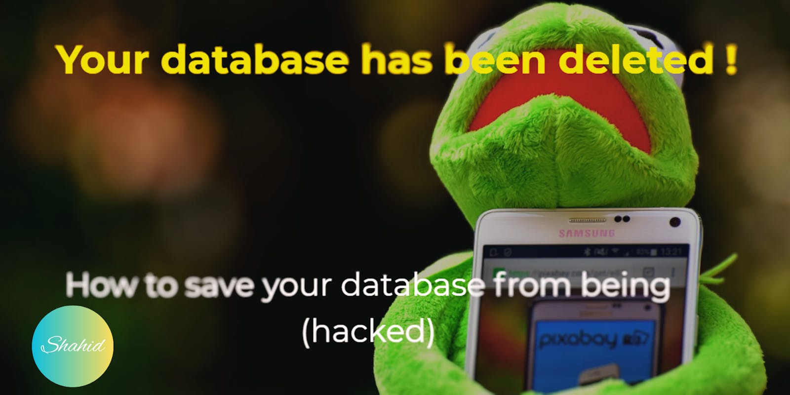 Ransomware: Protect Your DataBase From Ransomware attack