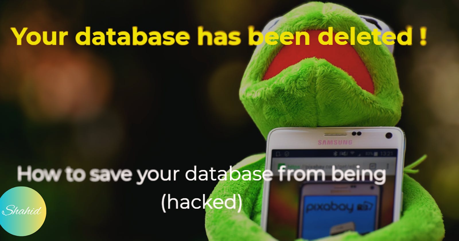 Ransomware: Protect Your DataBase From Ransomware attack