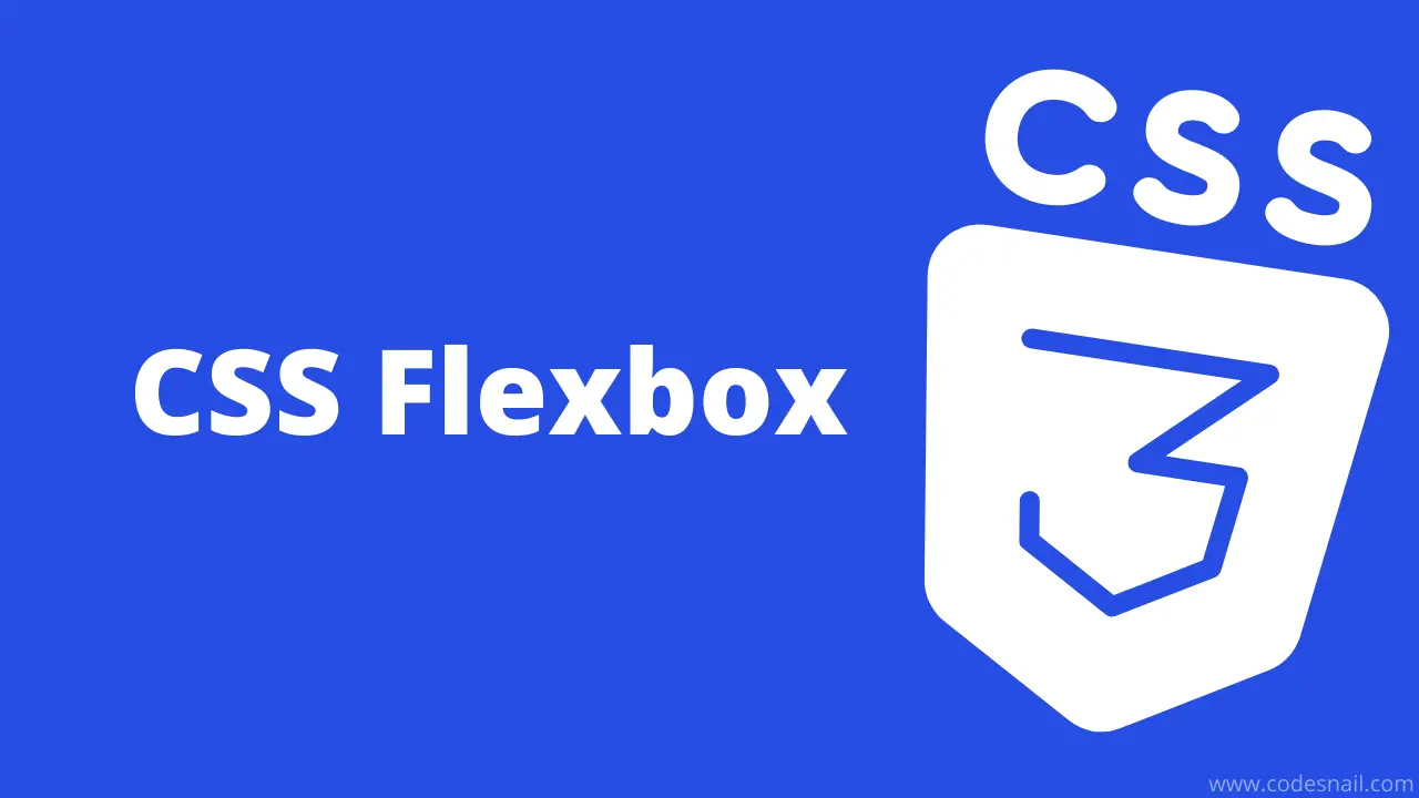 Introduction To Css Flexbox And Box Model📦