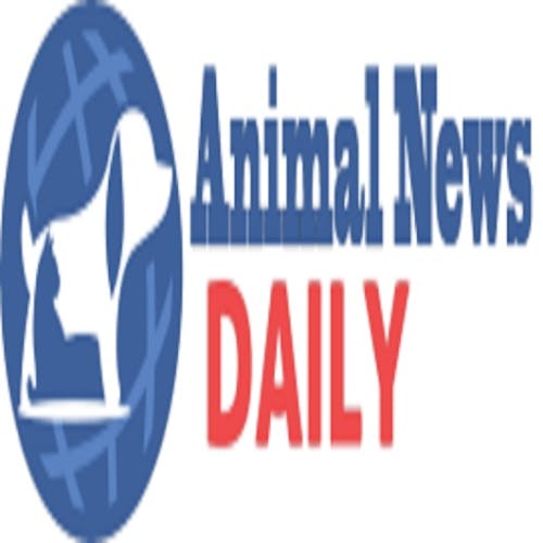 Animal News 24 - Latest Updates on Wildlife, Pets, and More's photo