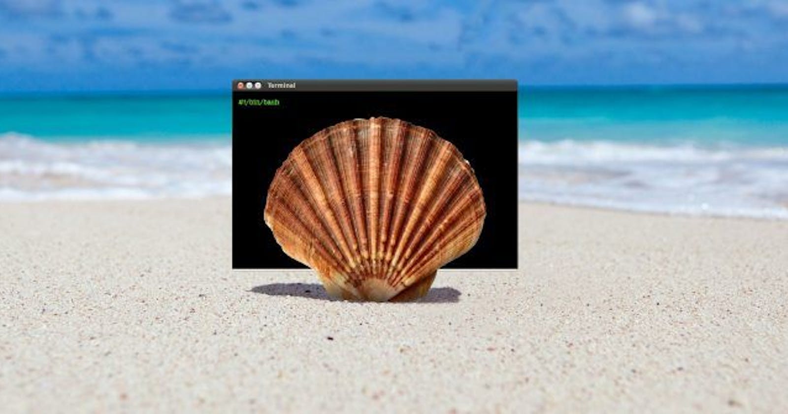 Basic Linux Shell Scripting for DevOps Engineers