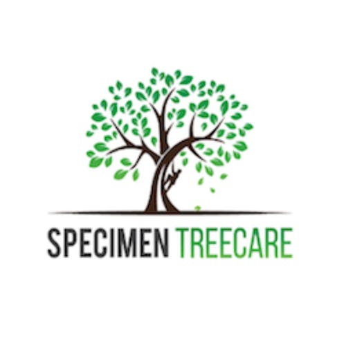 Specimen Treecare's blog