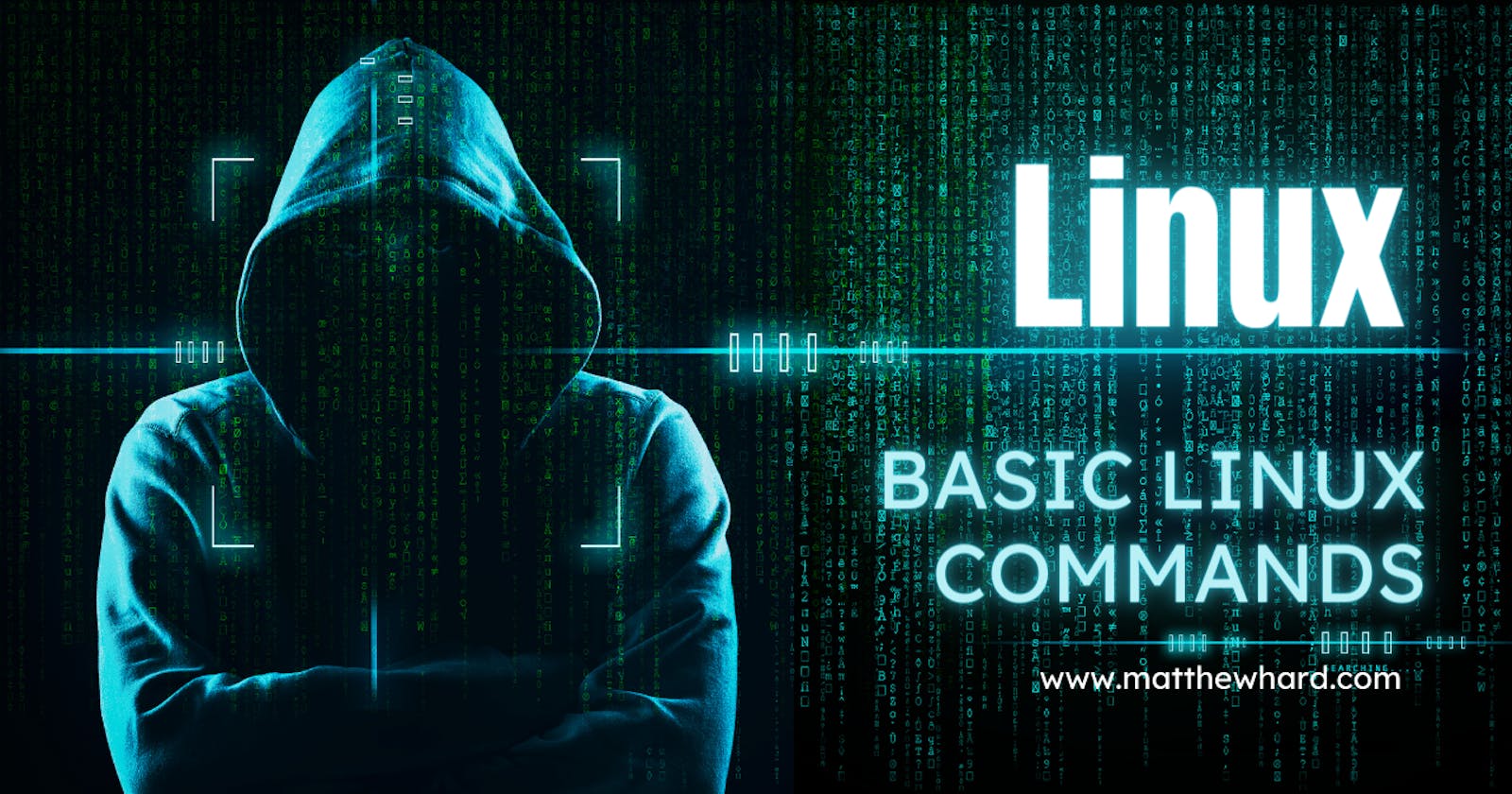 Mastering Basic Linux Commands: Network services and tools.