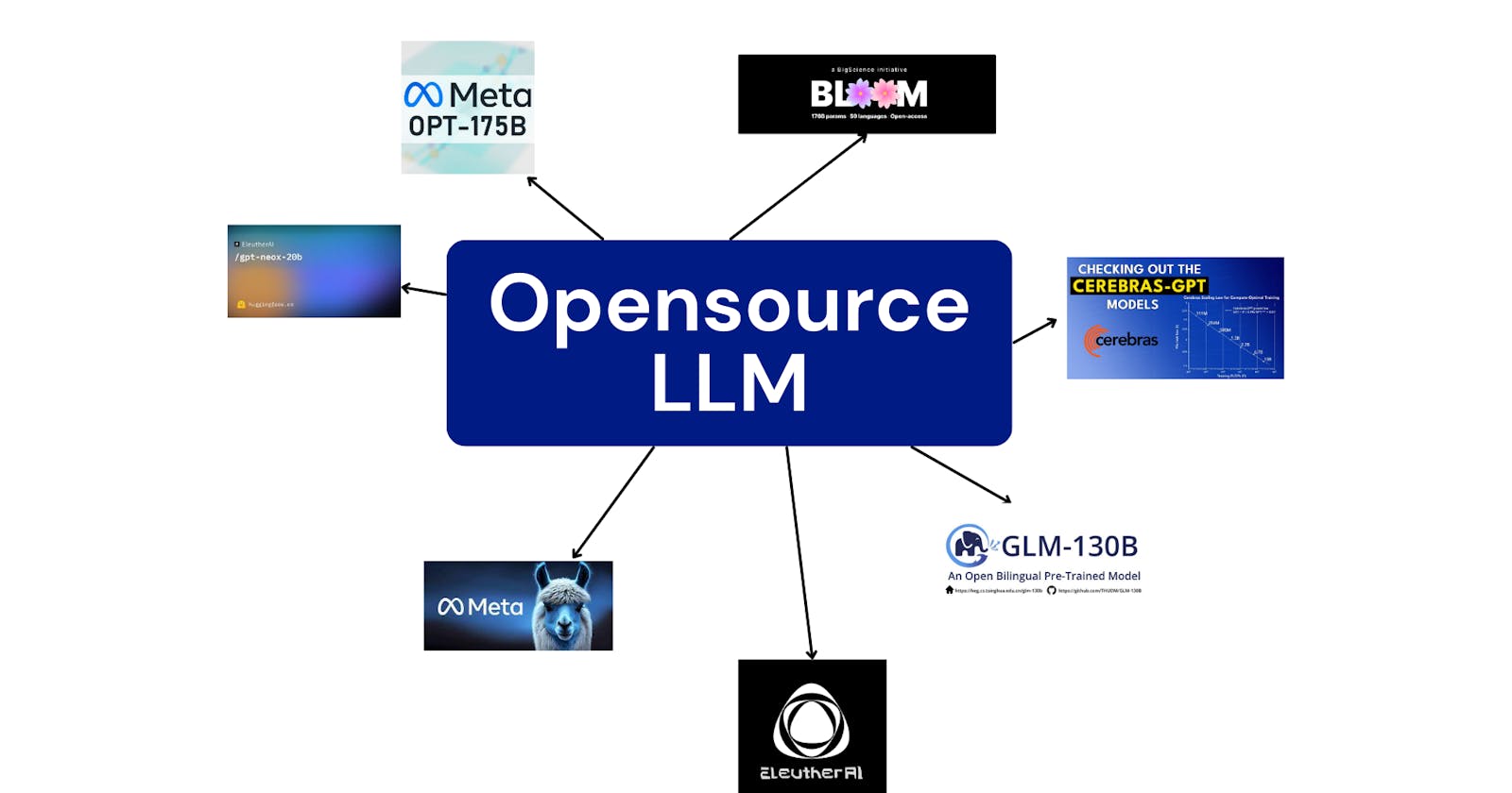 The rise of open-source large language models