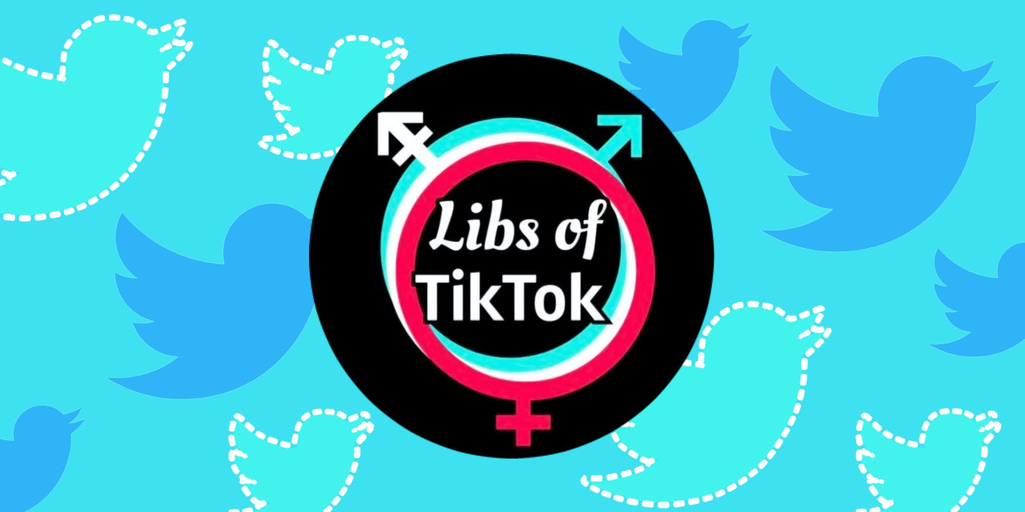 Libs of Tik Tok.jpg