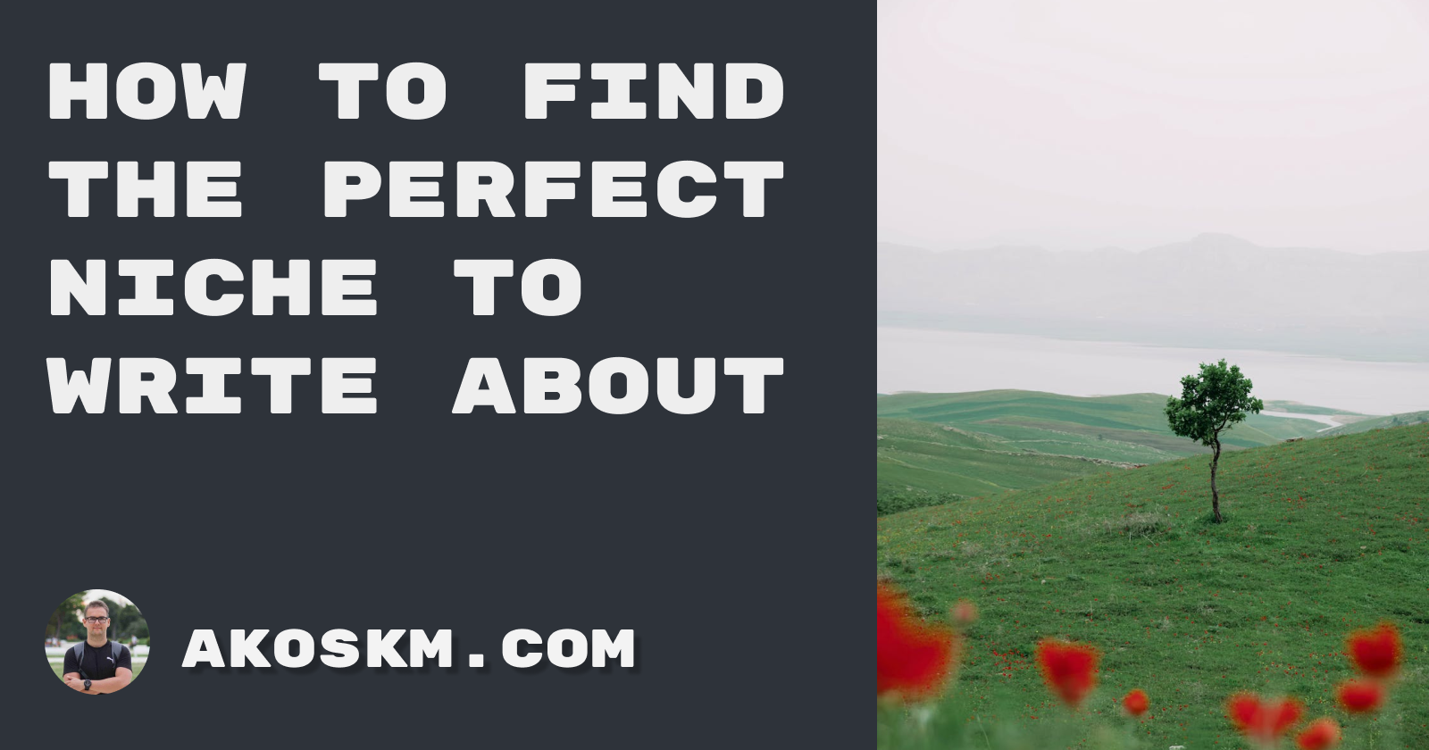 How to Find the Perfect Niche to Write About