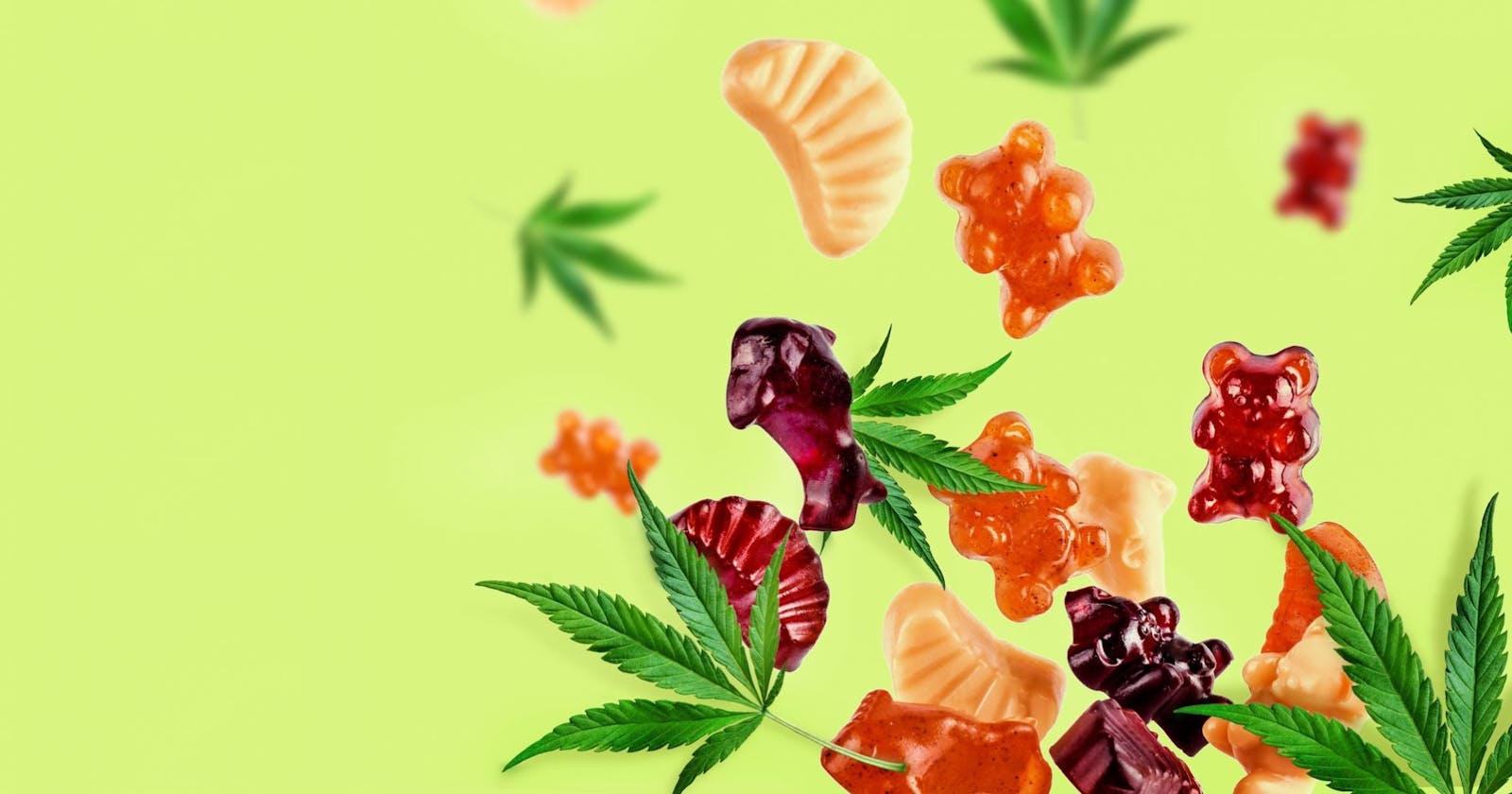 Jorge Ramos CBD Gummies: Where to Buy and How to Save Money on Your Purchase