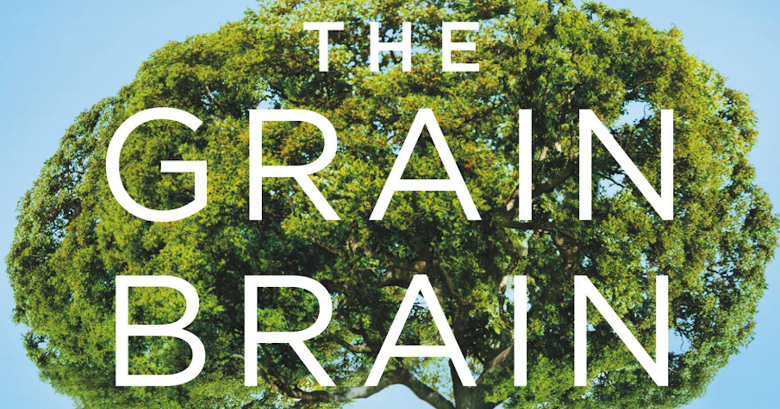 Summary-The Grain Brain Whole Life Plan - David Perlmutter