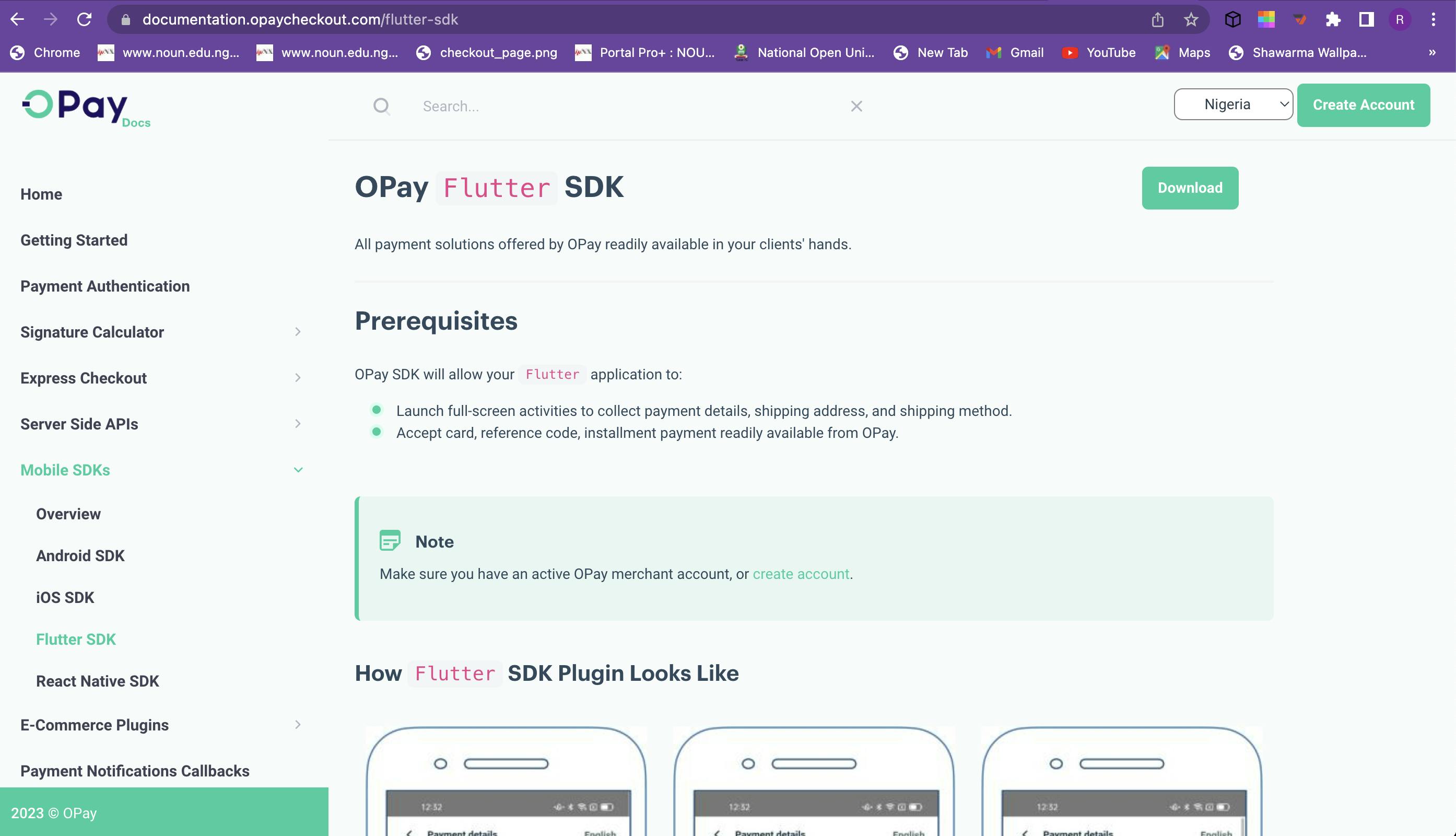 Screenshot of opay flutter sdk documentation