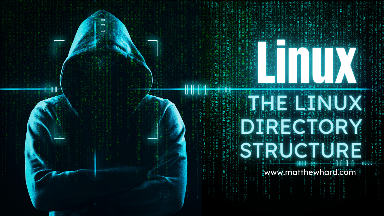 Mastering Basic Linux Commands: the Linux Directory Structure