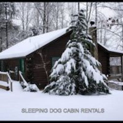 Sleepingdog Cabin's photo