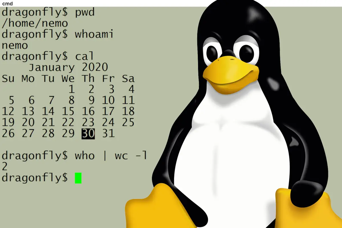 Day 3 -Advance Linux commands