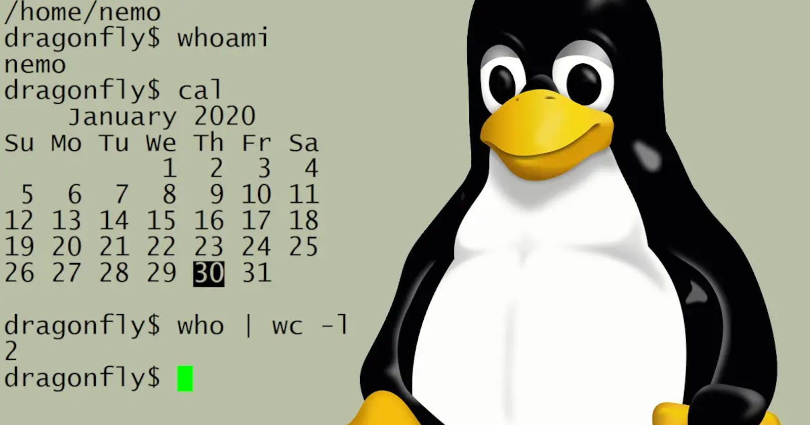 Day 3 -Advance Linux commands