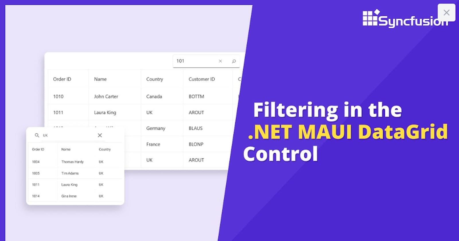 How to Perform Filtering in .NET MAUI DataGrid Control | Syncfusion