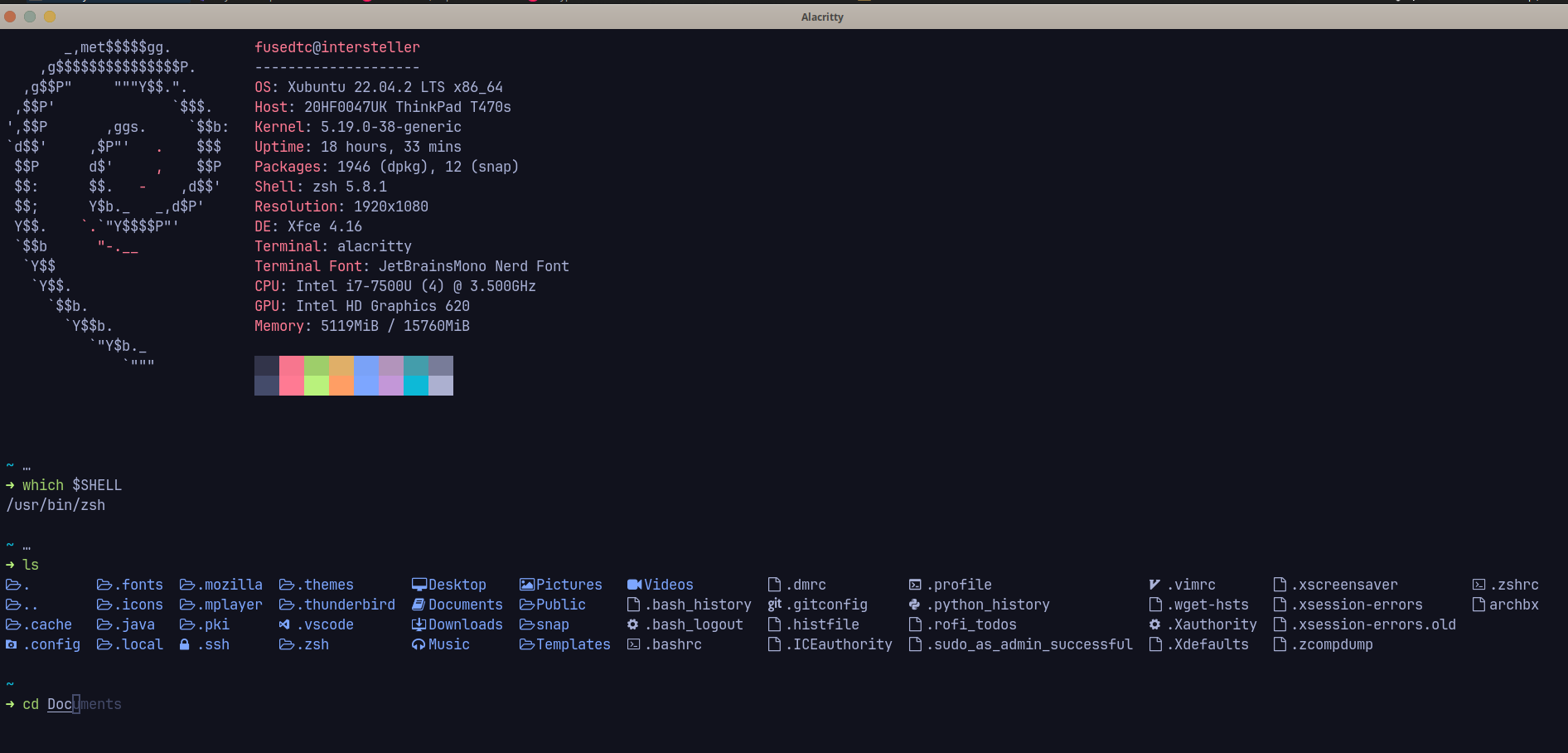My terminal (Alacritty) showing my shell, and some zsh plugs - LSD, syntax-highlighting and autosuggestions