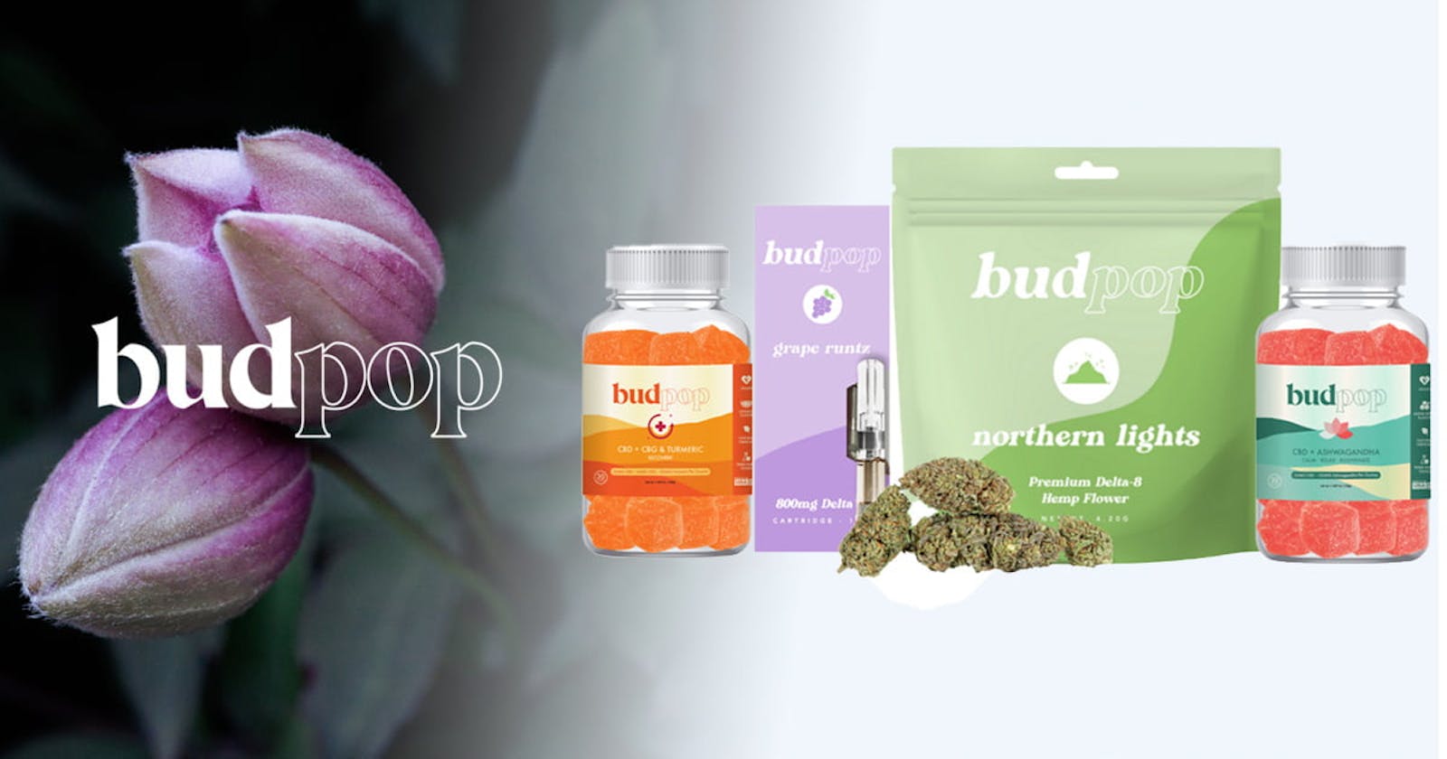 Budpop CBD Gummies: The Ultimate Guide to Its Benefits, Dosage, and Side Effects!