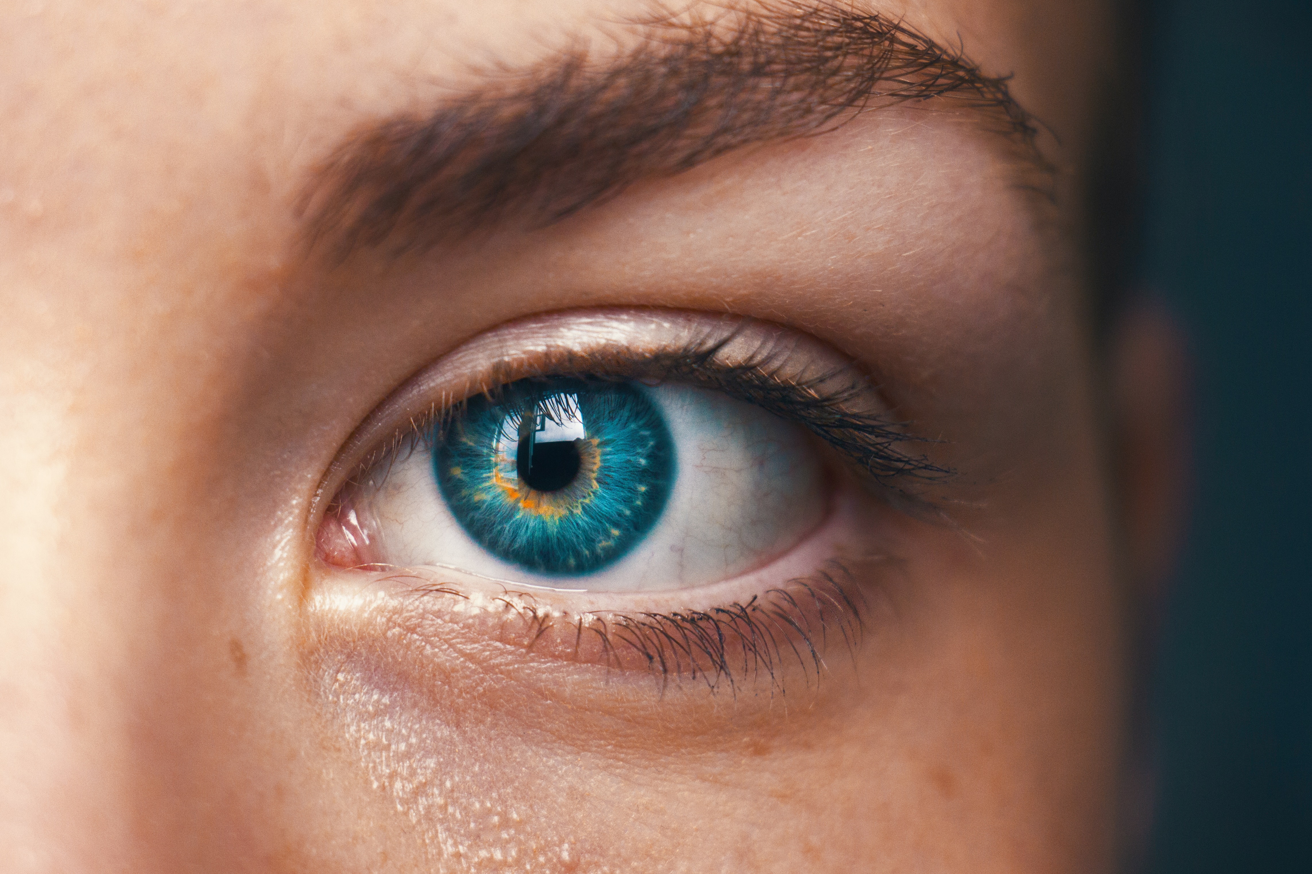 The Future of AI in Human Lives