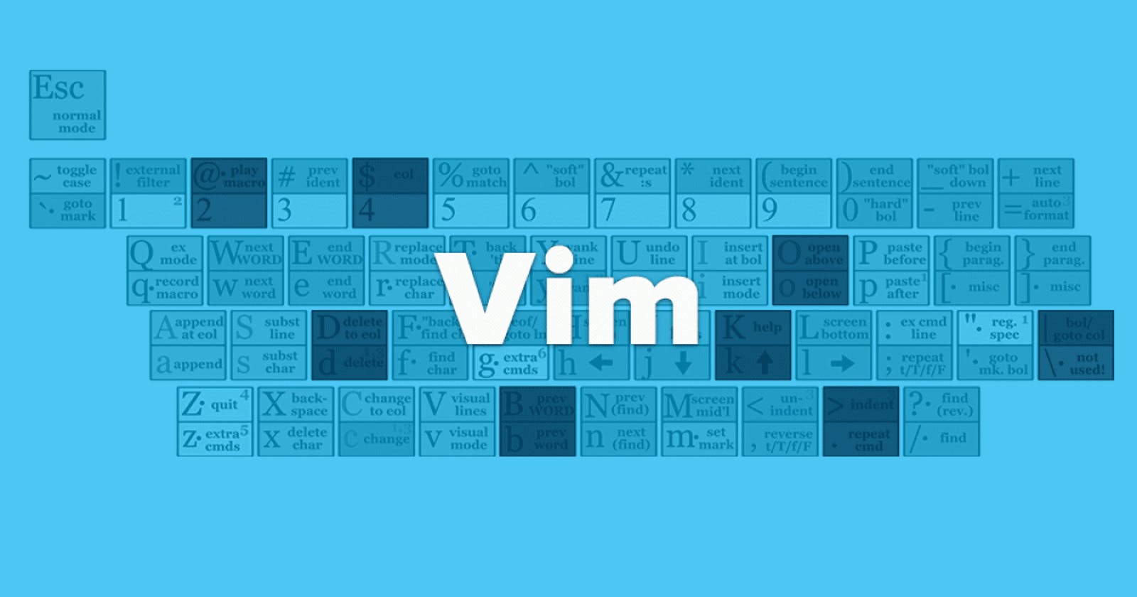 Vim the ultimate Code Editor