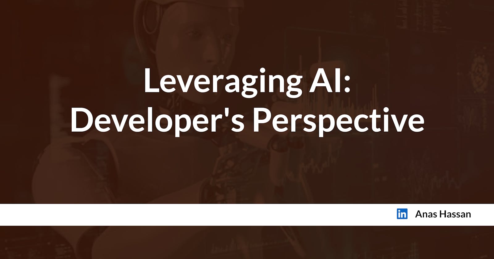 Leveraging AI: Developer's Perspective