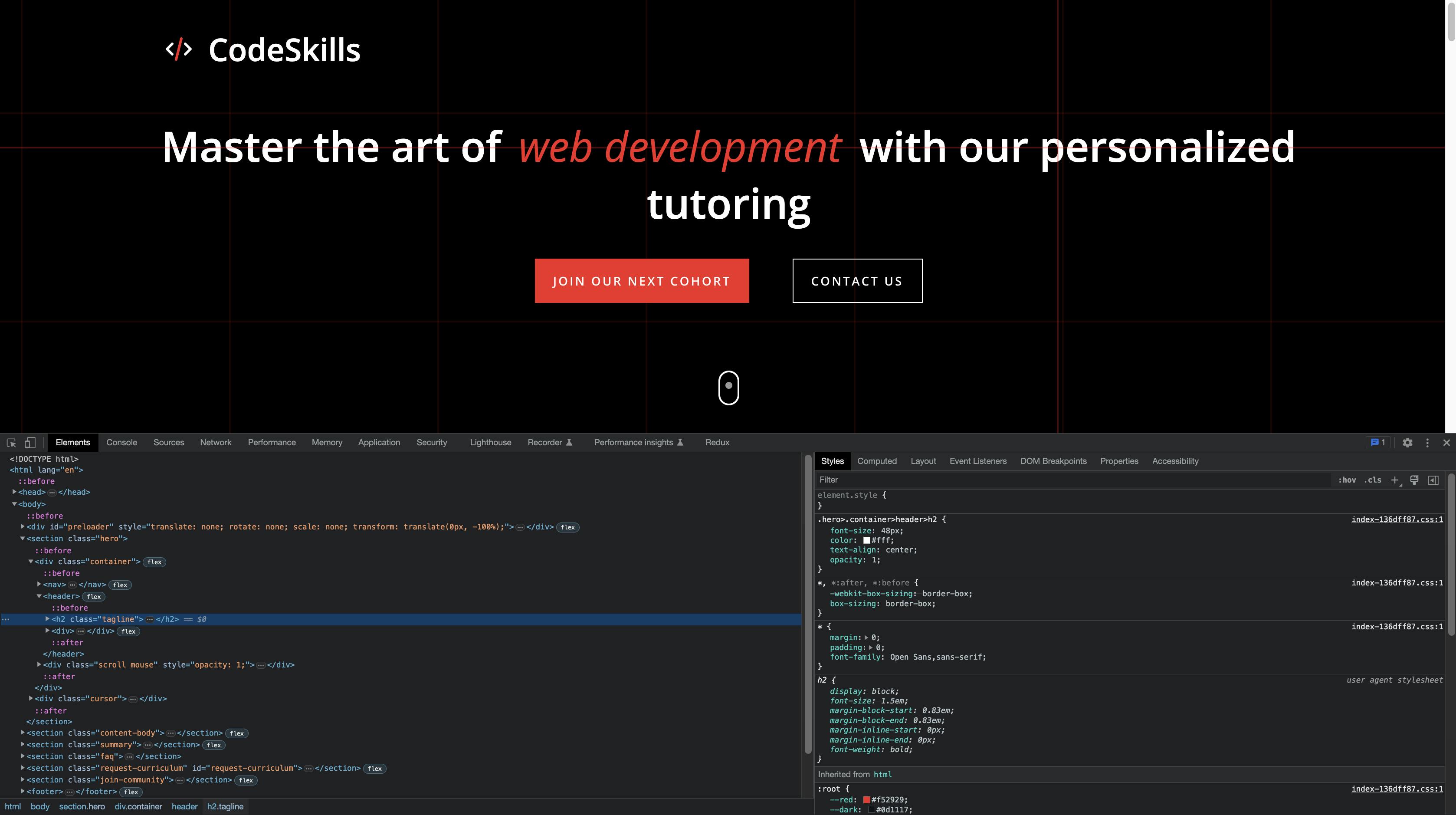 Screenshot of the Browser Dev tools