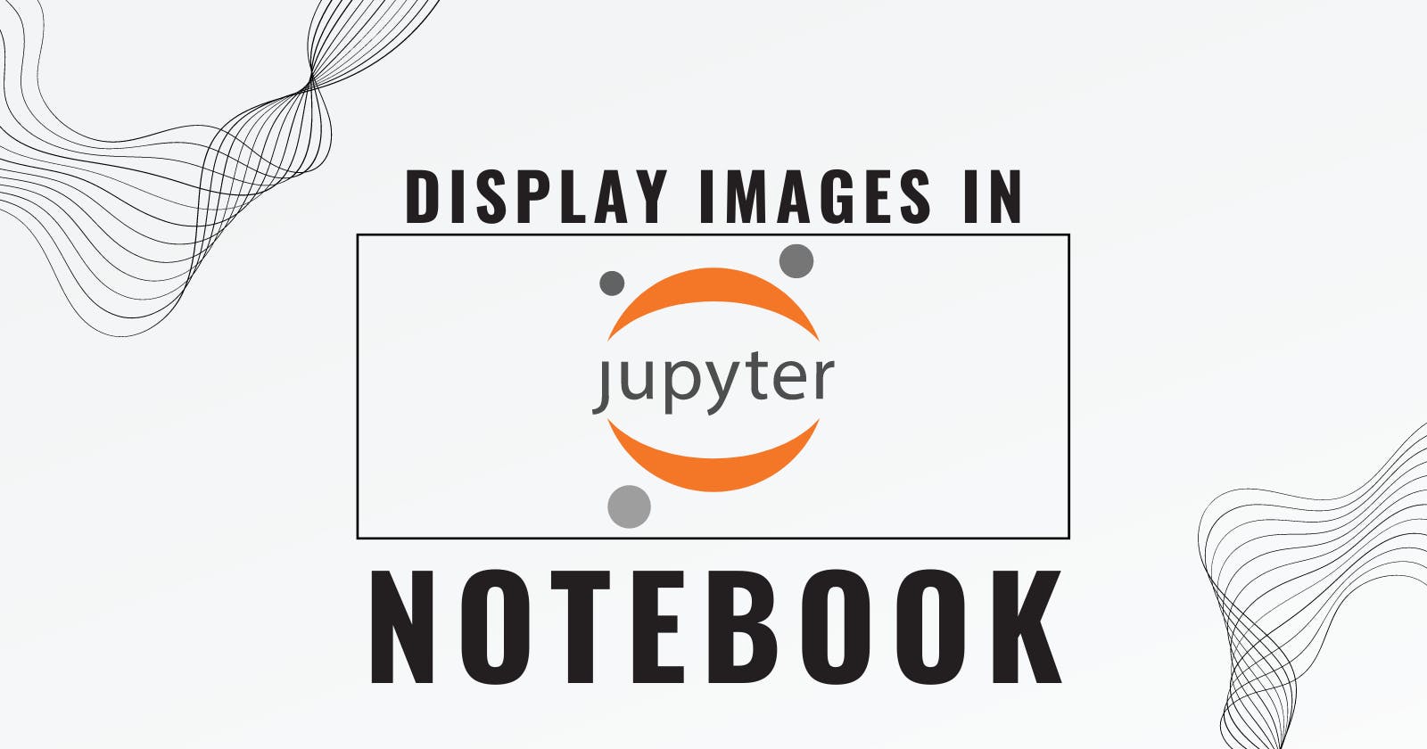 Display Local And Web Images In Jupyter Notebook