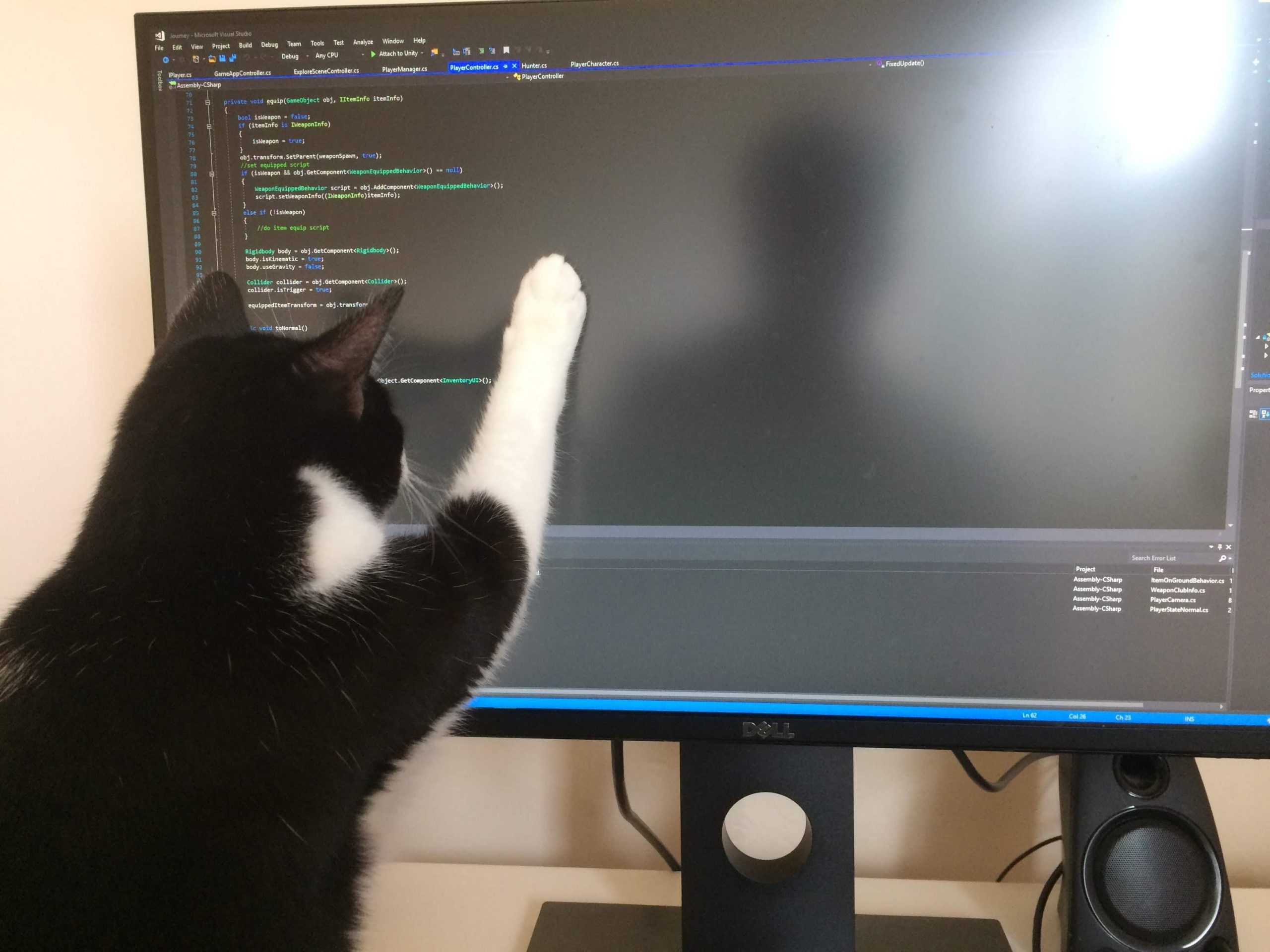 Journey to become a tech lead | "It's your life" and "The cat ate my source code"