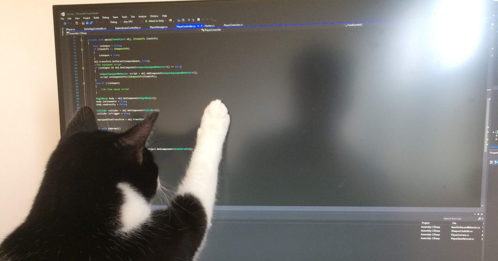 Journey to become a tech lead | "It's your life" and "The cat ate my source code"