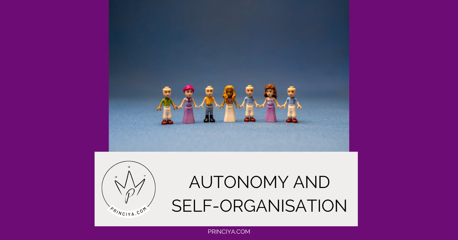 Autonomy and self-organisation