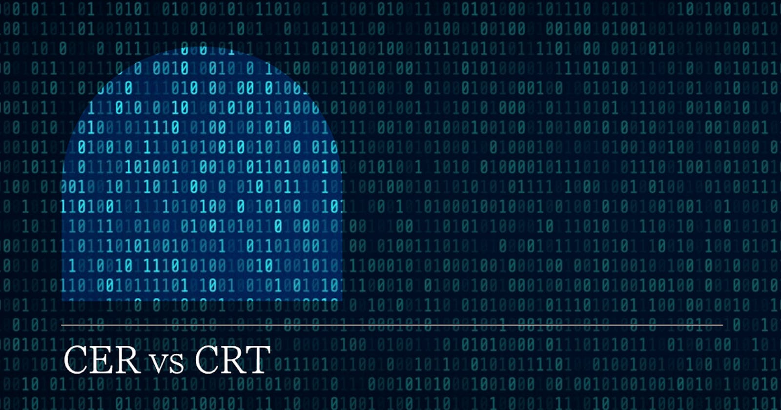 Understanding Cer and Crt Files for Website Security