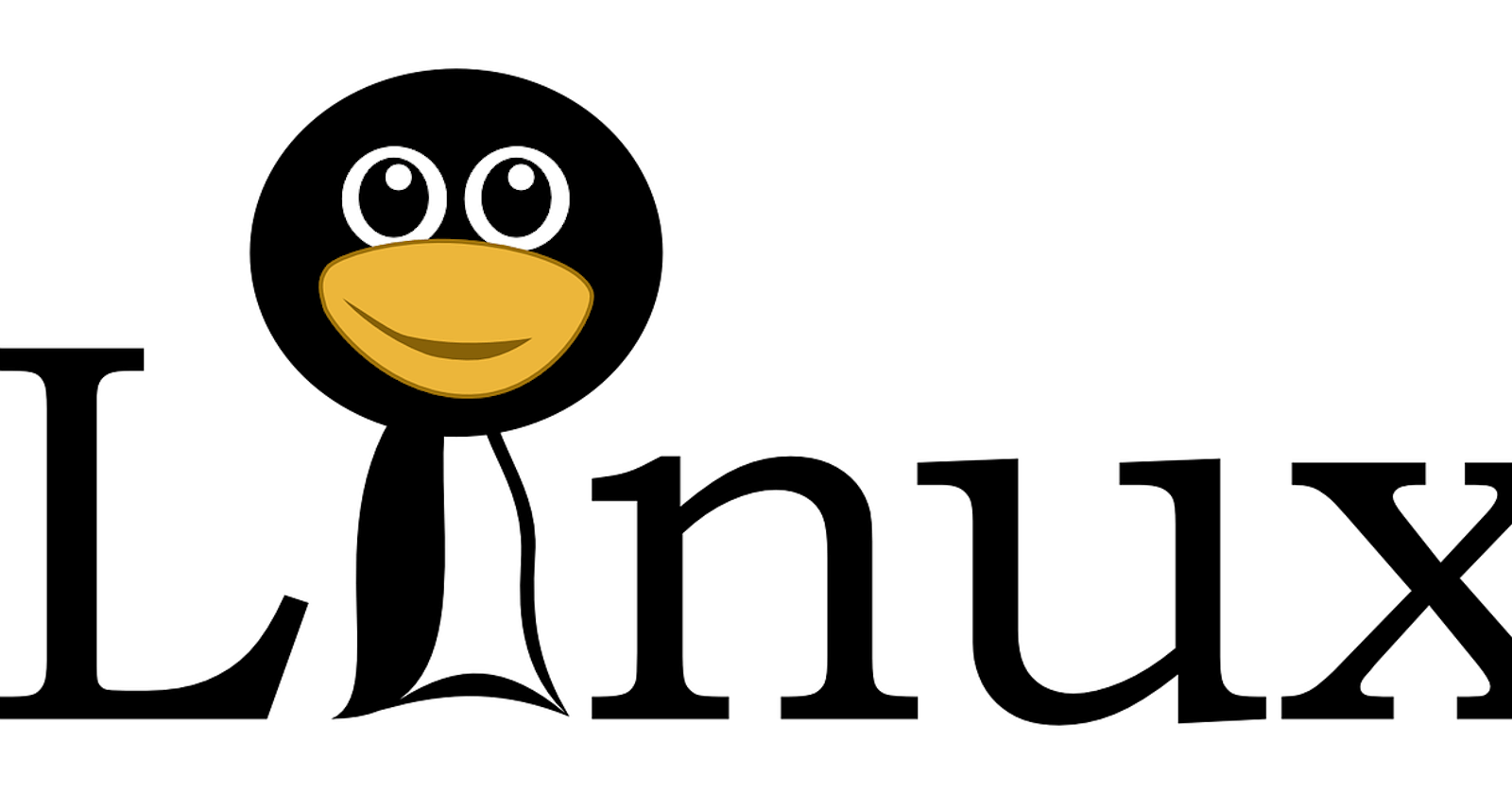 Linux 101: Getting Started with the Open-Source OS