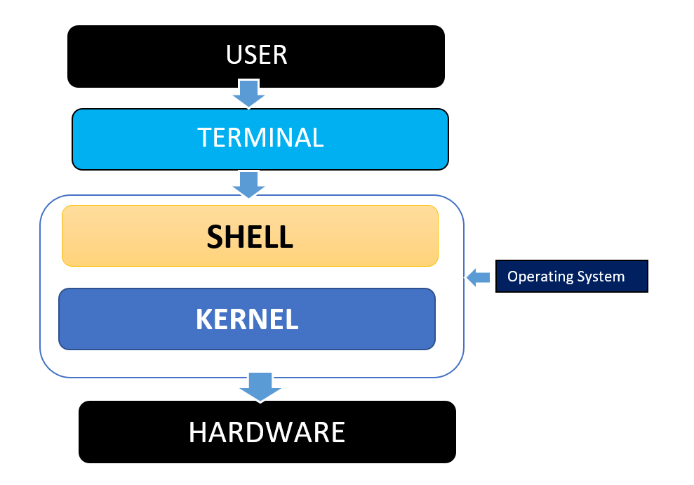 Shell Scripting (Day 4 task)