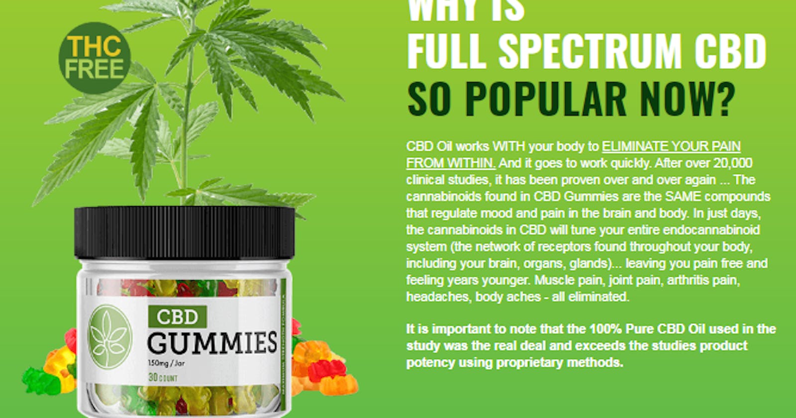 Boost Your Wellness Routine with High Strength CBD Gummies