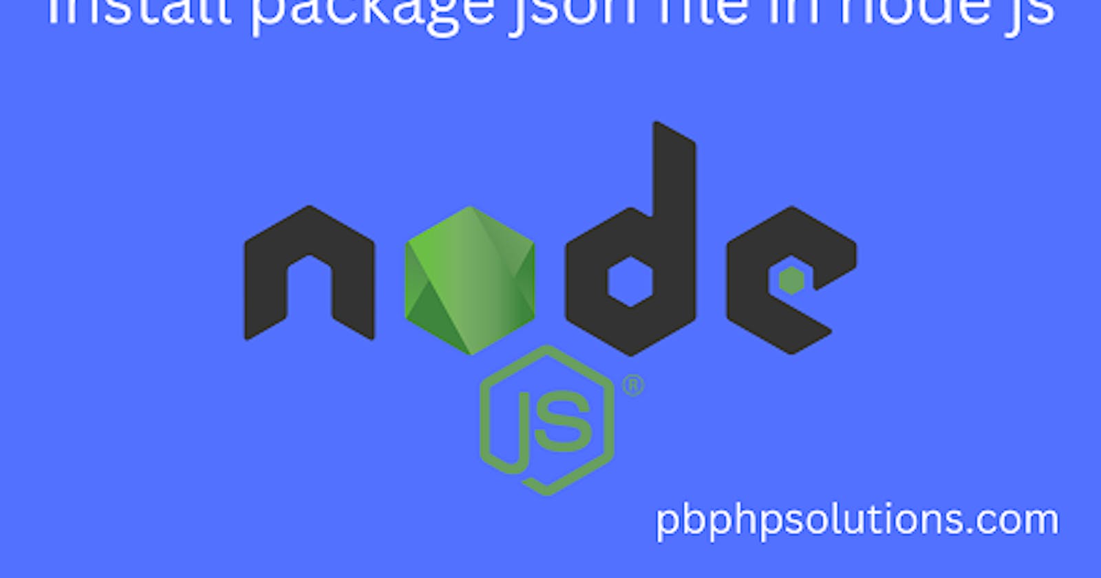 How to install package JSON file in node js