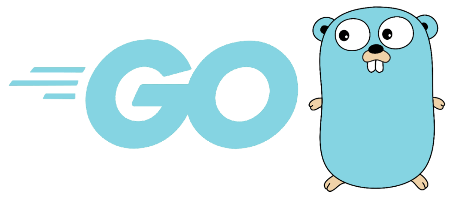 Test Automation with Golang