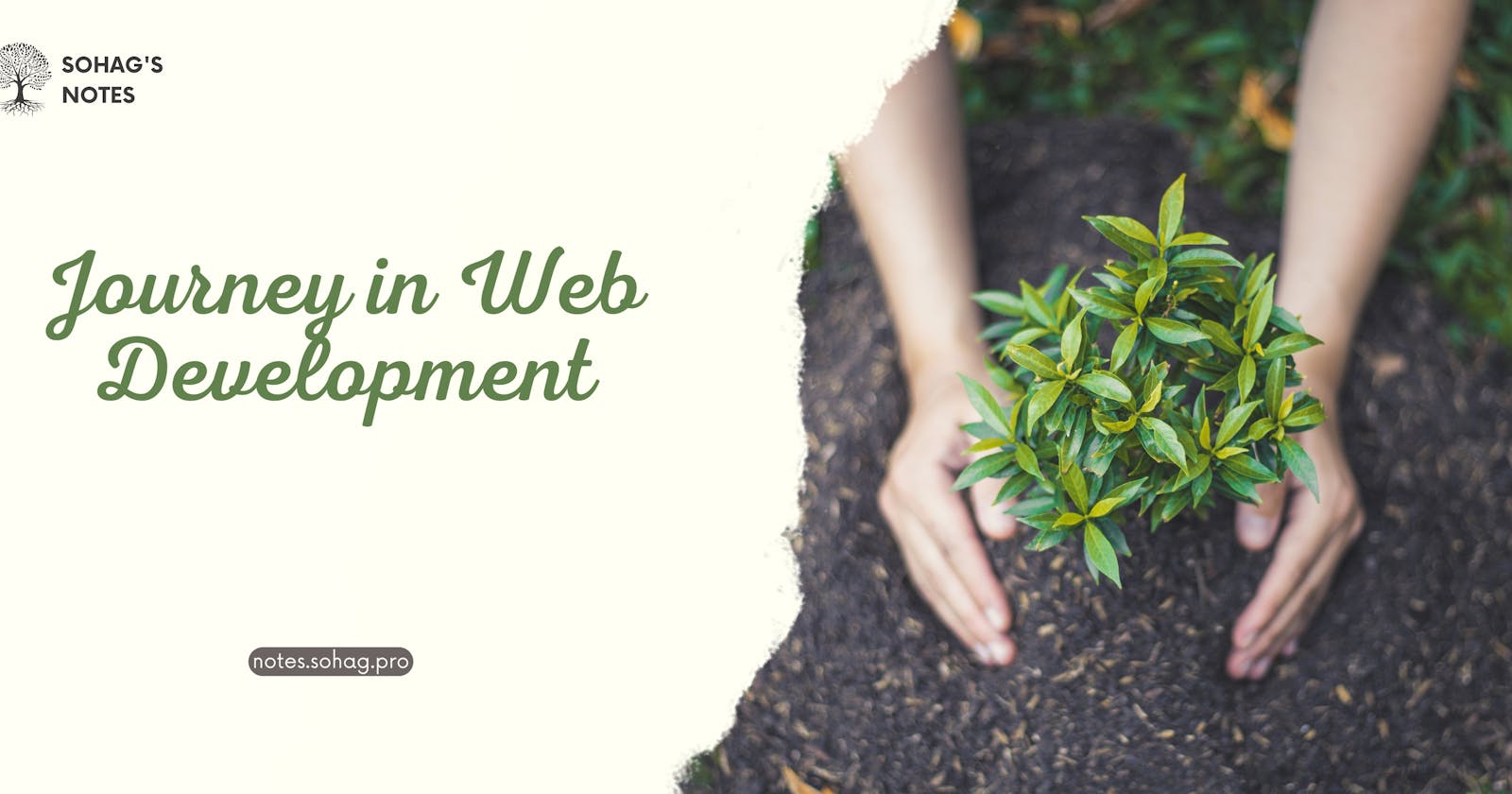 A Beginner's Guide to Starting a Journey in Web Development