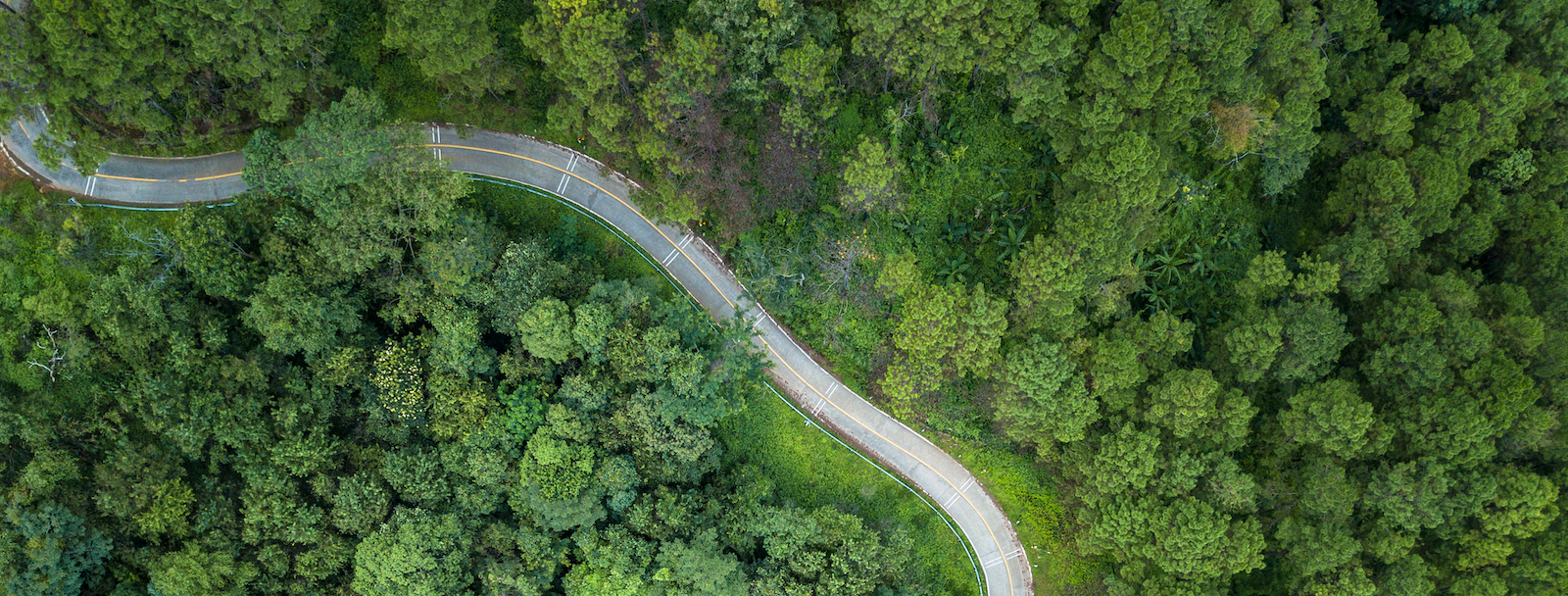 AI and talent acquisition