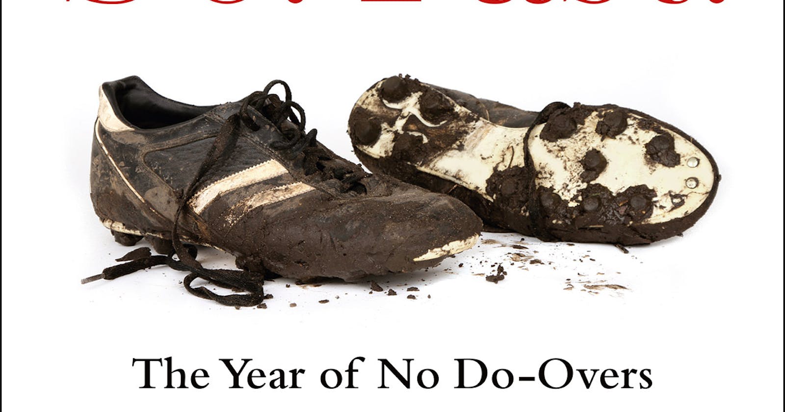 Summary - It. Goes. So. Fast.: The Year of No Do-Overs  - Mary Louise Kelly