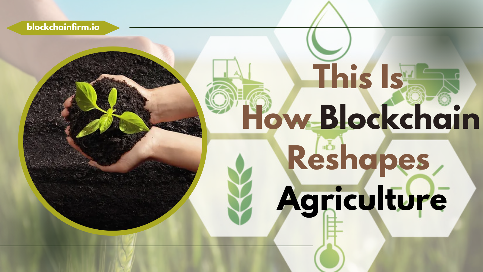 Promising Use Cases Showing The Impact Of Blockchain In the Agriculture Sector
