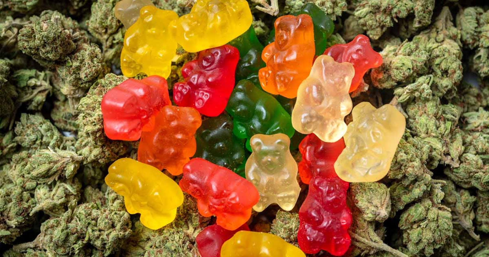Oros CBD Gummies Is It Safe Or Trusted? (2022 Reviews) Side Effects & Price?