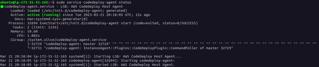 CodeDeploy Agent running status
