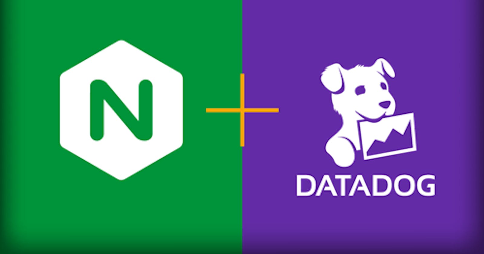 How To Install and Use DataDog Agent on your NGINX Server