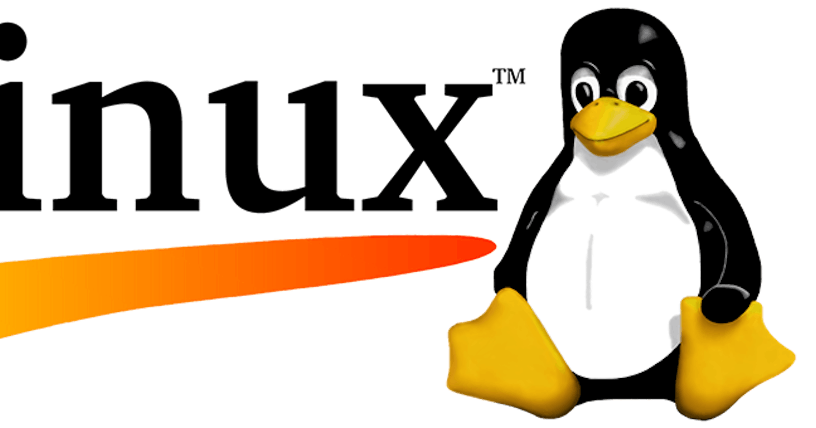Basic Linux commands