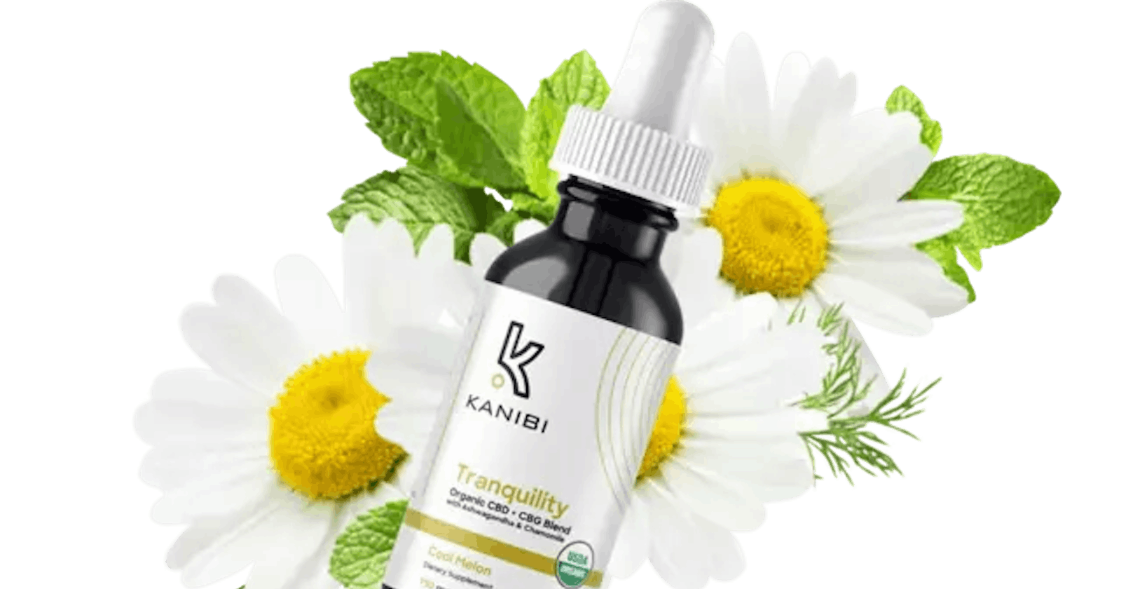 Embrace a Tranquil Lifestyle with Kanibi Tranquility CBD: Conclusion