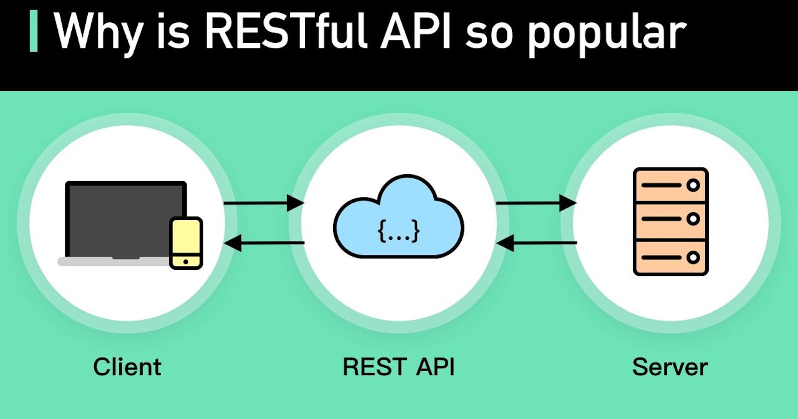 REST API and their CRUD Operations