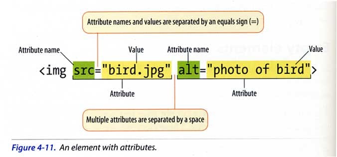 An image showing HTML attributes