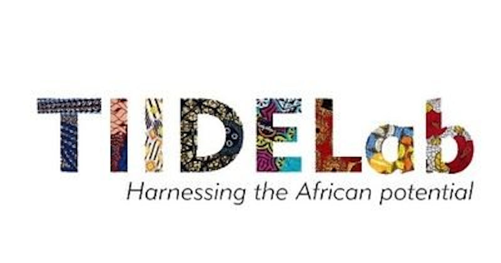 TIIDELab pre-fellowship program experience