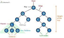 Tree Data Structure