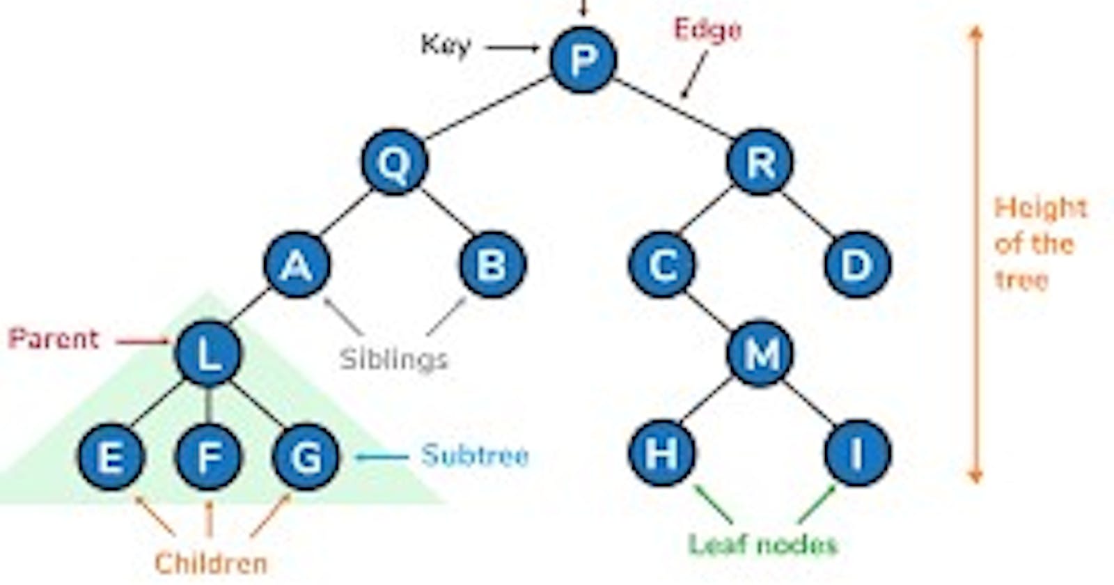 Tree Data Structure