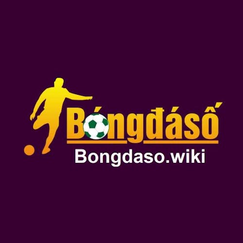 Bongdaso Wiki's photo